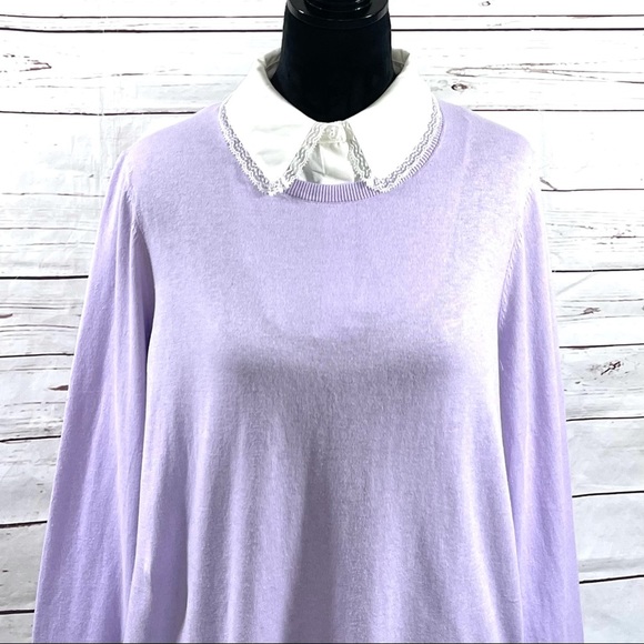 Talbots Lace Collar Pullover Sweater Purple Cotton/ Silk Trim Plus Size 1X - Picture 2 of 9
